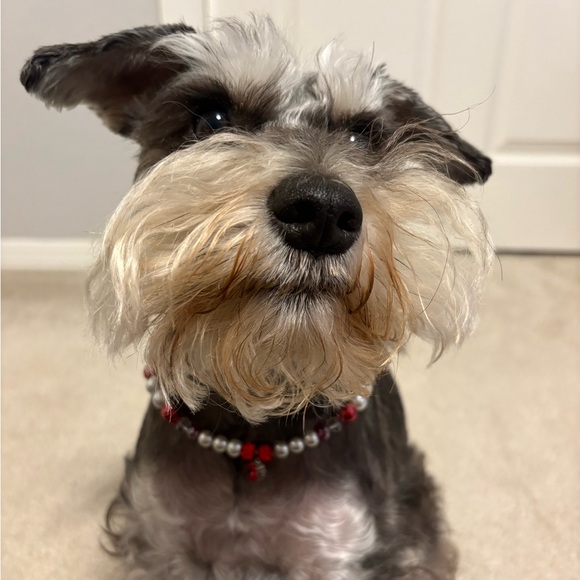 Handmade Beaded Dog Necklace and Matching Owner Bracelet Set - Picture 2 of 9